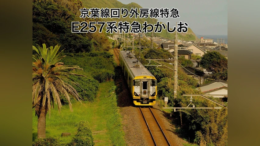 京葉線回り外房線特急 E257系特急わかしお