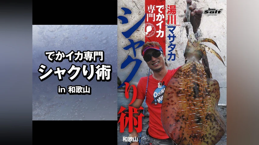 でかイカ専門 シャクり術 in和歌山