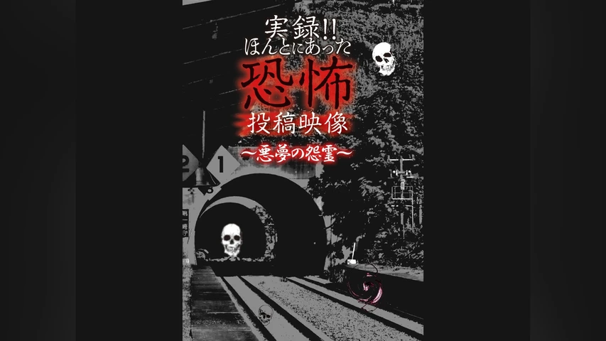 実録!!ほんとにあった恐怖の投稿映像〜悪夢の怨霊〜