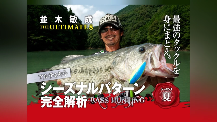 並木敏成ジアルティメット8夏