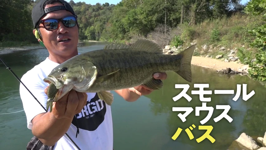 スモールマウスバス