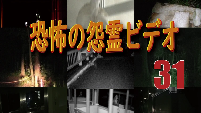 〜完全保存版〜恐怖の怨霊ビデオ31