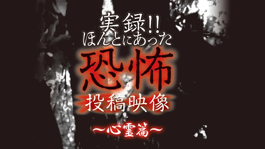 実録！！ほんとにあった恐怖の投稿映像〜心霊篇〜