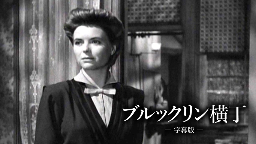 ブルックリン横丁（字幕版）｜フジテレビの人気ドラマ・アニメ・TV番組 