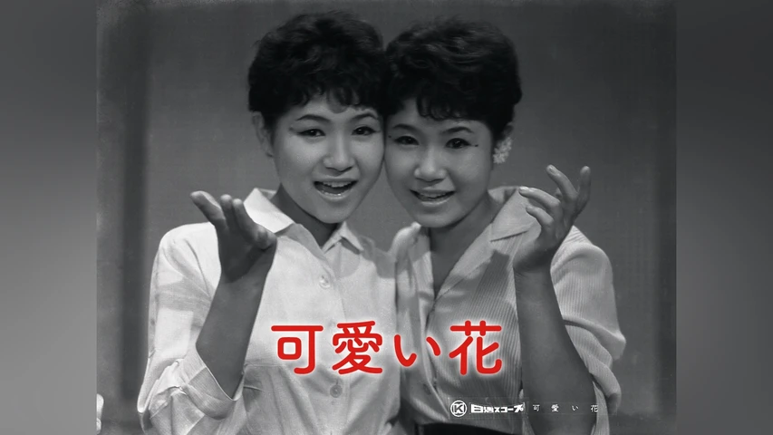 可愛い花