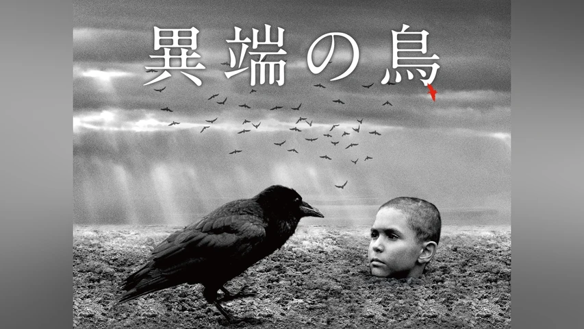 異端の鳥