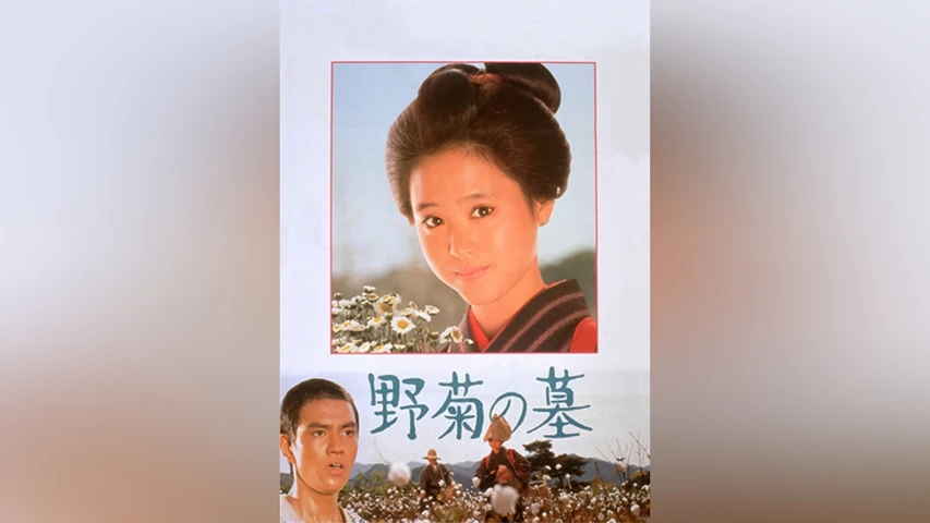 野菊の墓