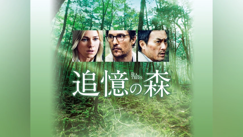 追憶の森