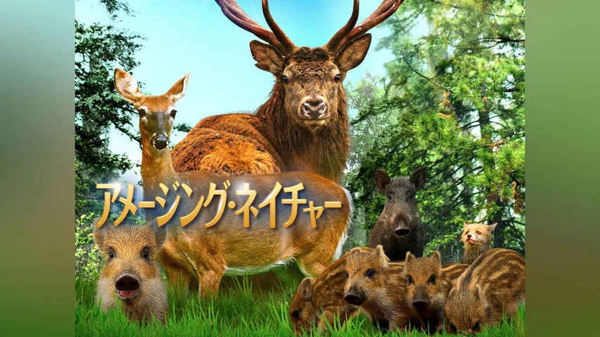 アメージング・ネイチャー