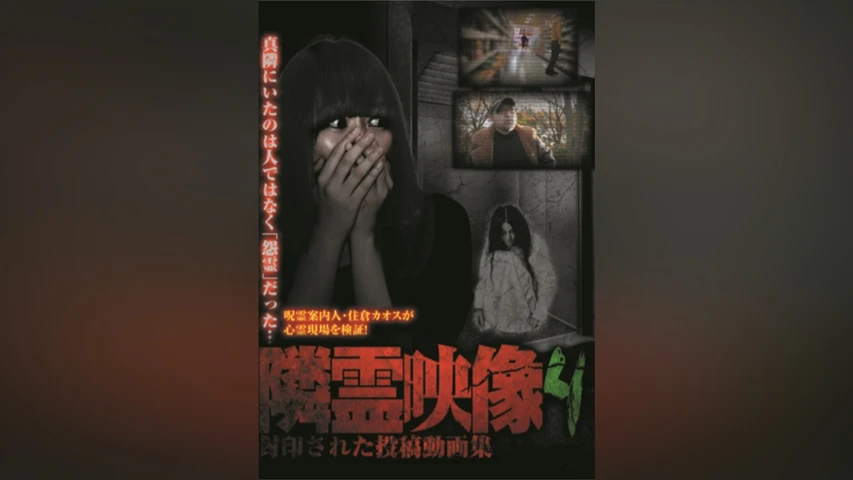 隣霊映像 封印された投稿動画集 Vol.4
