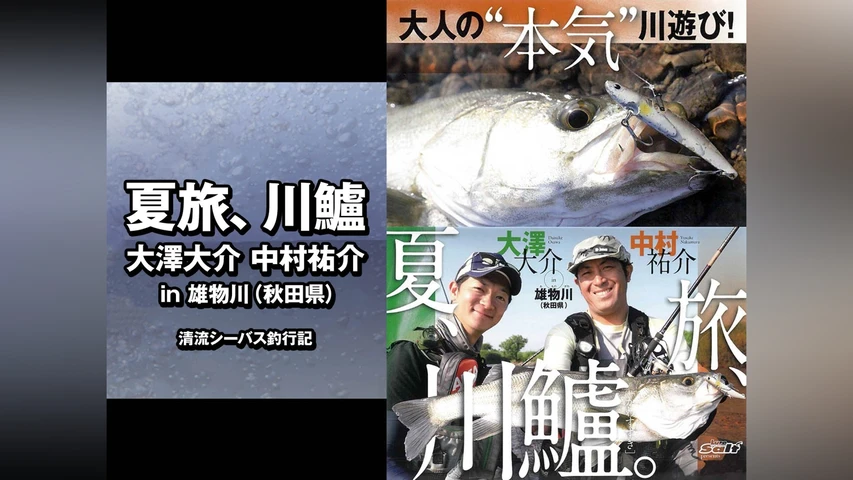 夏旅、川鱸 大澤大介 中村祐介 in雄物川(秋田県)清流シーバス釣行記