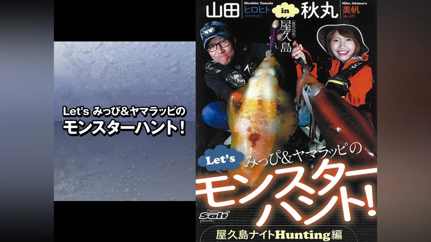 Let's みっぴ&ヤマラッピのモンスターハント!
