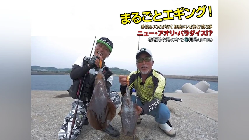 まるごとエギング！ NEWアオリパラダイス！