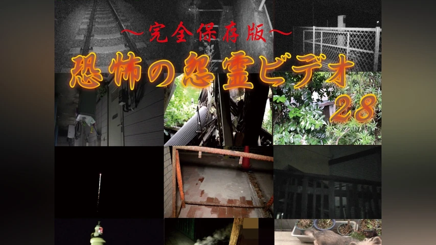 〜完全保存版〜恐怖の怨霊ビデオ28