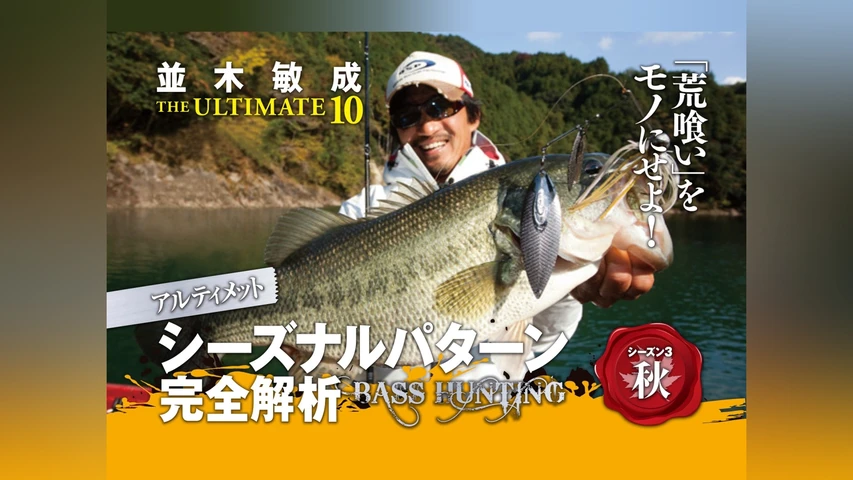 並木敏成ジアルティメット10秋
