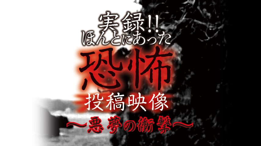 実録!!ほんとにあった恐怖の投稿映像〜悪夢の衝撃〜