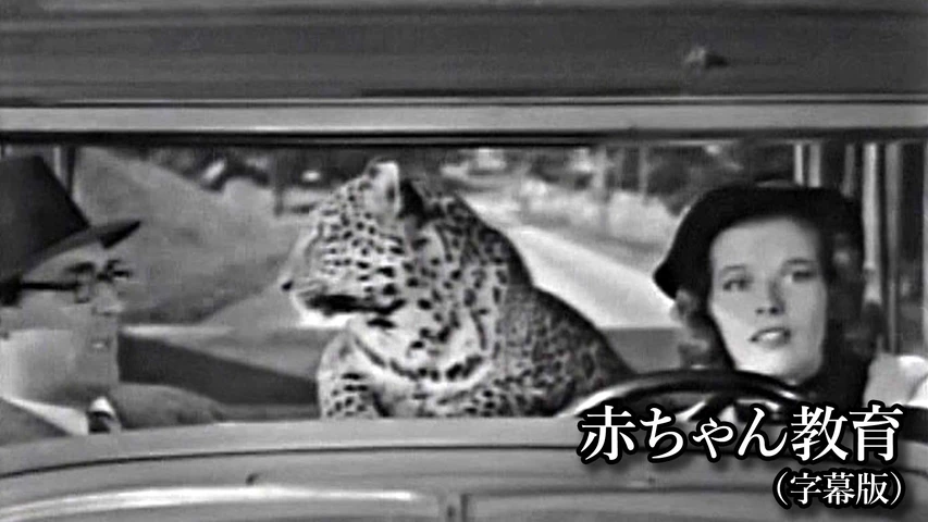 赤ちゃん教育