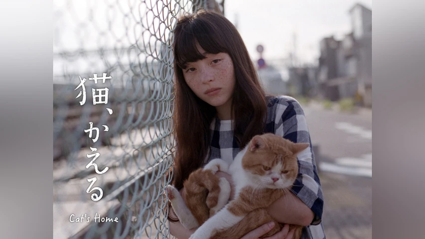 猫、かえる Cat's Home