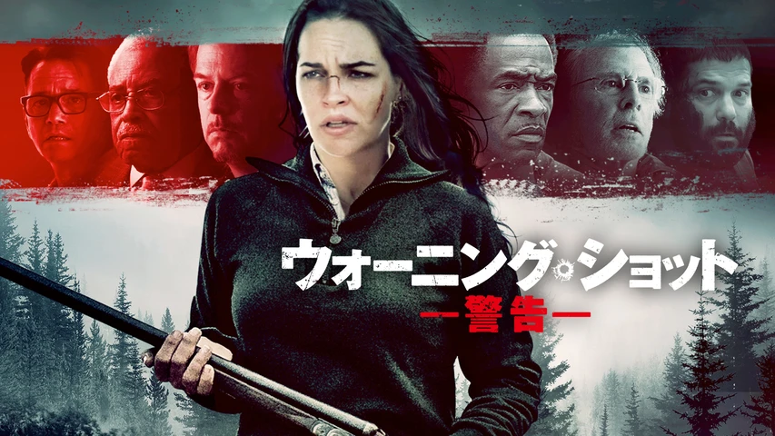 ウォーニング・ショット 警告