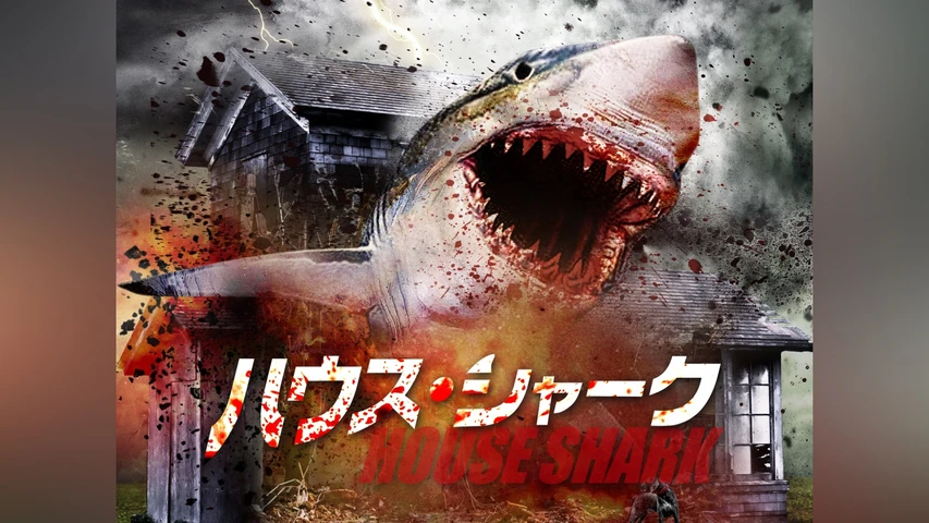 ハウス・シャーク
