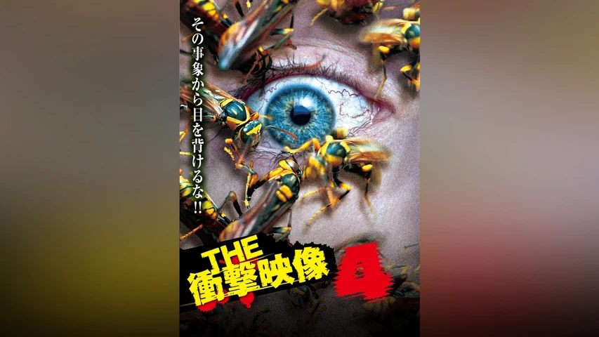 THE 衝撃映像 4