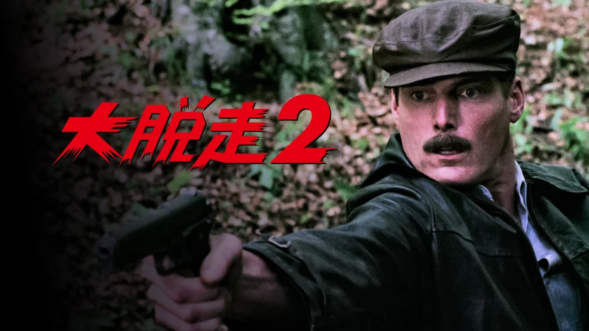 大脱走2