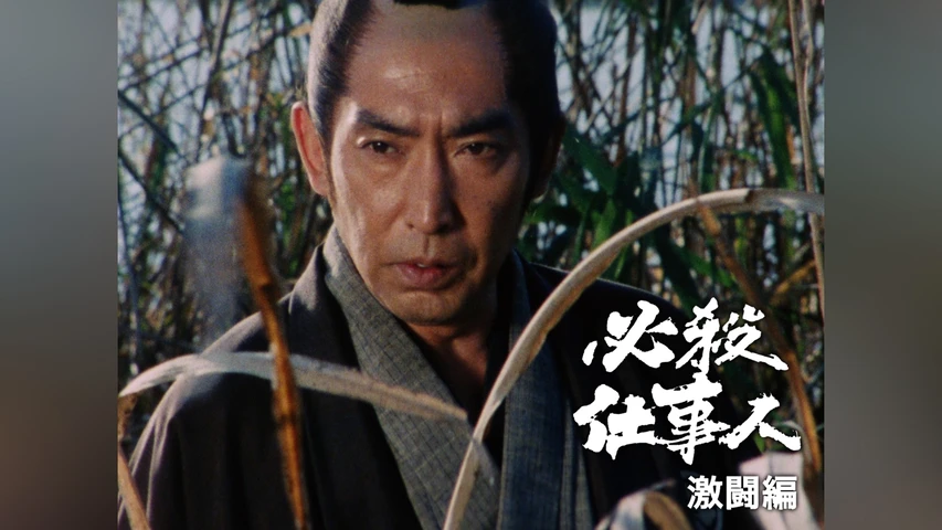 必殺仕事人V激闘編