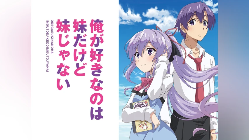 俺が好きなのは妹だけど妹じゃない