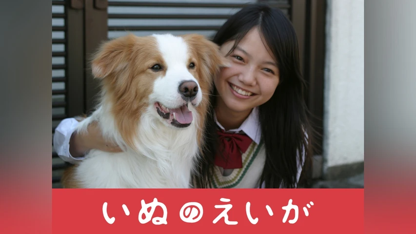 いぬのえいが