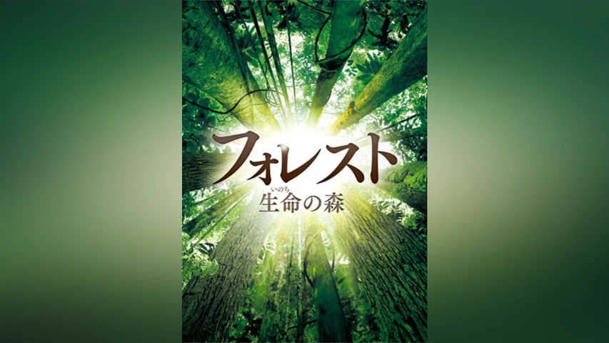 フォレスト　生命の森