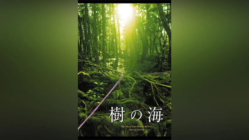 樹の海