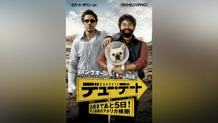 デュー・デート 〜出産まであと5日!史上最悪のアメリカ横断〜