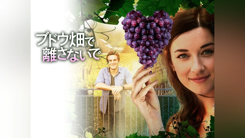 ブドウ畑で離さないで