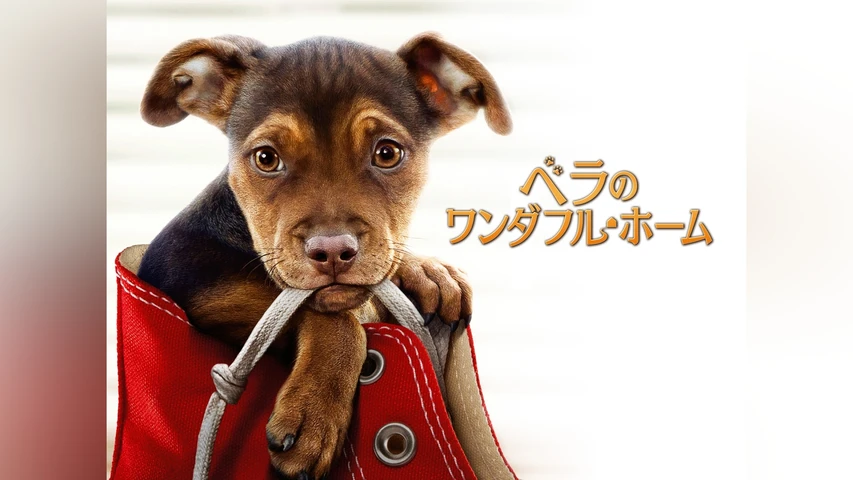 ベラのワンダフル・ホーム