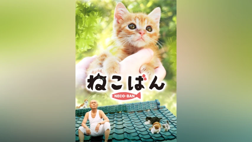 ねこばん