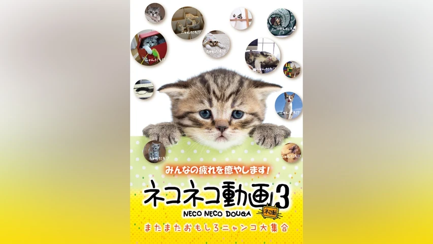 ネコネコ動画3〜またまたおもしろニャンコ大集合〜