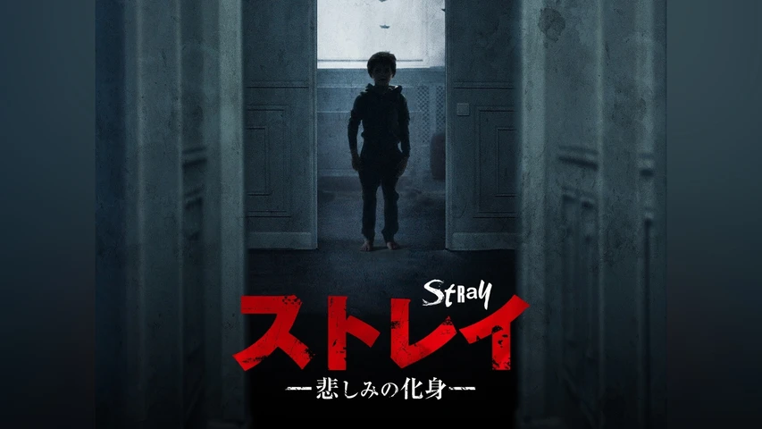 ストレイ 悲しみの化身