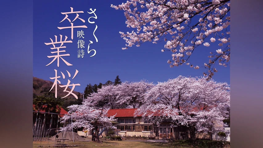 卒業桜 さくら映像詩