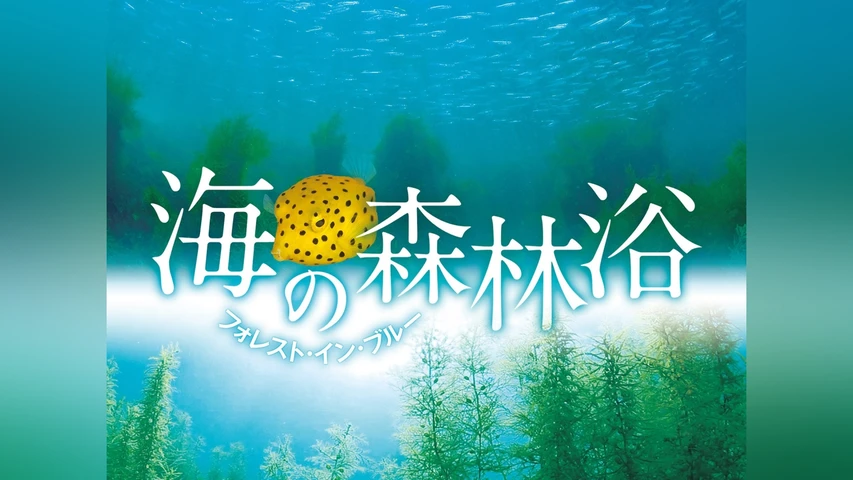 海の森林浴 フォレスト・イン・ブルー