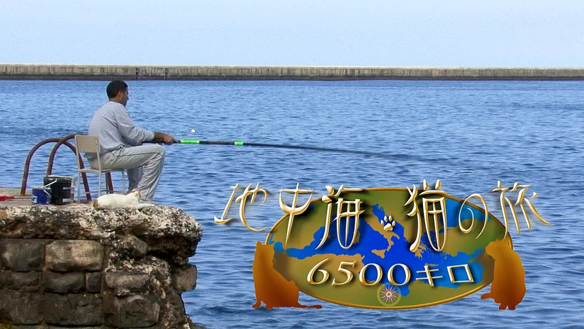 地中海・猫の旅6500キロ  Cats of the Mediterranean Sea