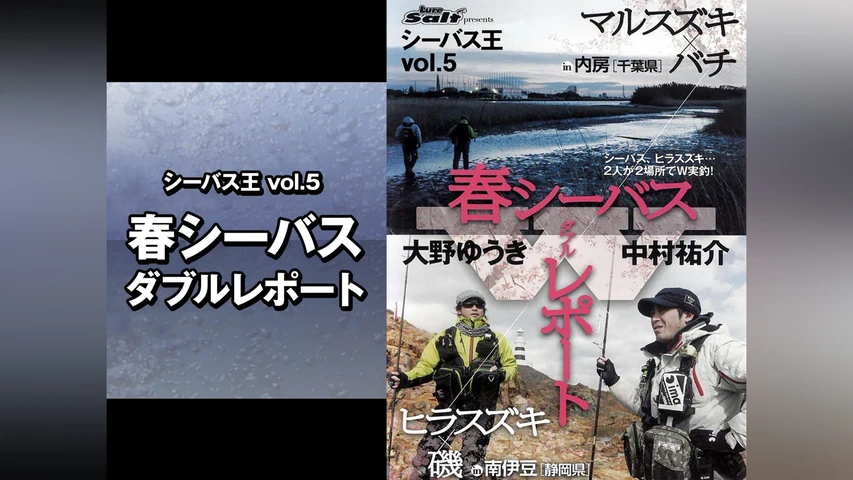 シーバス王vol.5 春シーバスダブルレポート
