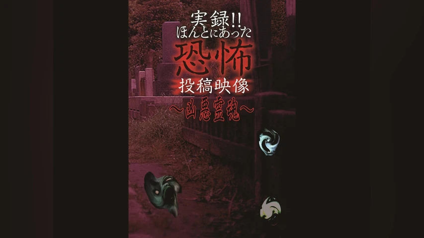 実録！！ほんとにあった恐怖の投稿映像〜凶悪霊魂〜