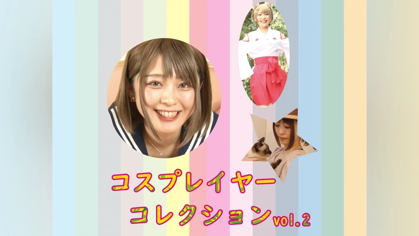 コスプレイヤーコレクション vol.2
