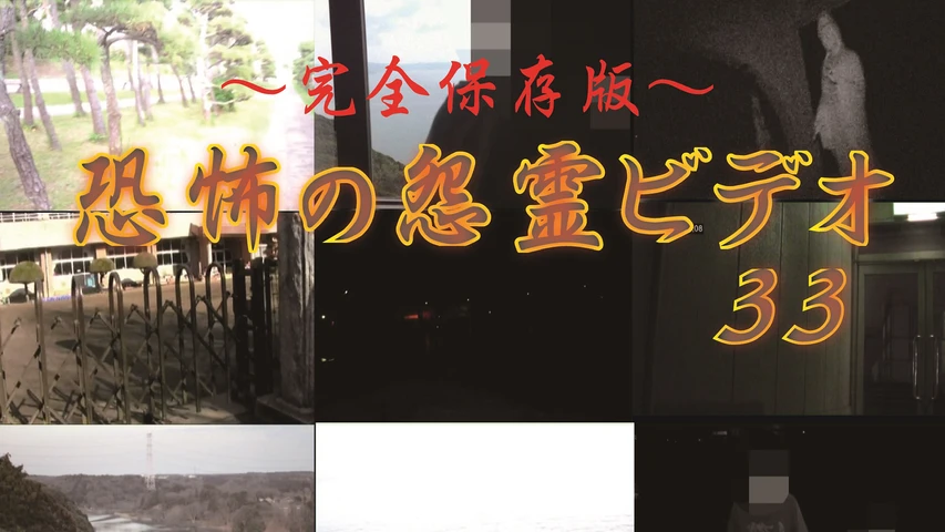 〜完全保存版〜恐怖の怨霊ビデオ33