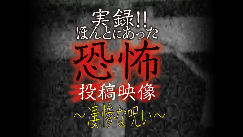 実録!!ほんとにあった恐怖の投稿映像〜凄惨な呪い〜