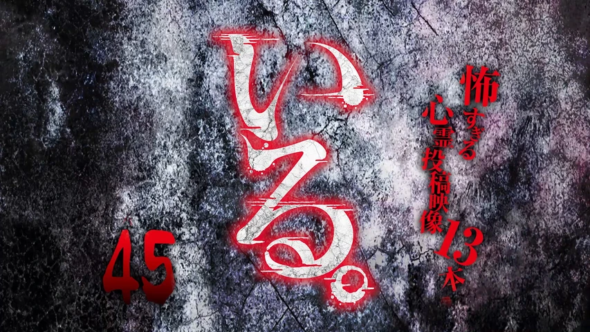 いる。〜怖すぎる投稿映像13本〜Vol.45