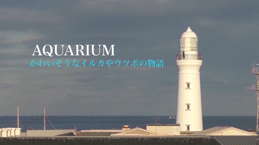AQUARIUM かわいそうなイルカやウツボの物語