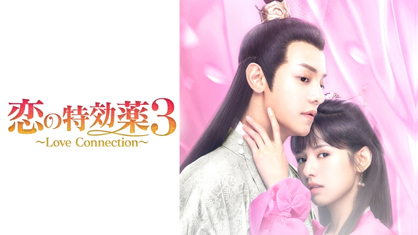 恋の特効薬３　～Ｌｏｖｅ　Ｃｏｎｎｅｃｔｉｏｎ～　ＤＶＤ－ＢＯＸ 恋の特効薬3～Love Connection～｜フジテレビの人気ドラマ