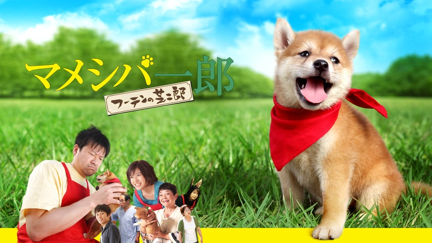 Amazon.co.jp: 連続テレビドラマ マメシバ一郎 DVD-BOX : 佐藤二