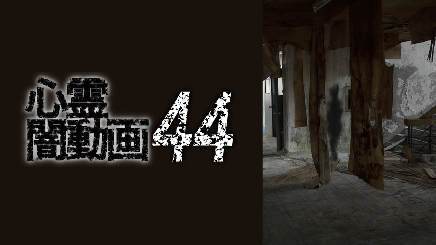 DVD　心霊闇動画　68～81　14枚セット Amazon.co.jp: 心霊闇動画14 [DVD] : 心霊: DVD